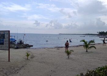 Retiro de sargazo acentúa erosión en Akumal; alertan por pérdida de arena