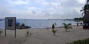 Retiro de sargazo acentúa erosión en Akumal; alertan por pérdida de arena