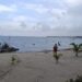Retiro de sargazo acentúa erosión en Akumal; alertan por pérdida de arena