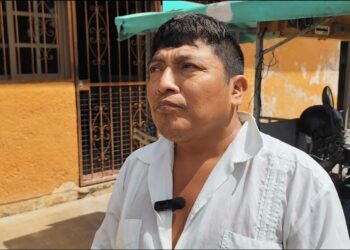 Sequía golpea a apicultores; baja producción de miel y obliga a alimentar colmenas