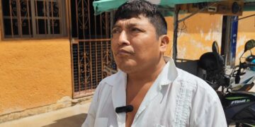 Sequía golpea a apicultores; baja producción de miel y obliga a alimentar colmenas