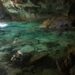 Afluencia turística pone presión sobre cenotes de Chemuyil