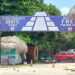 Denuncian estacionamiento “gratuito” condicionado a consumo en zona arqueológica de Tulum