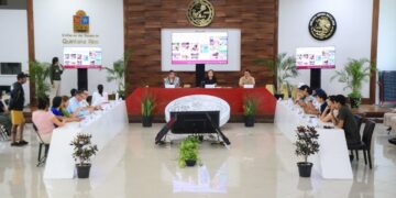 Playa del Carmen registra 2 mil nidos de tortugas marinas durante temporada 2026