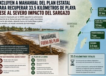 Excluyen a Mahahual del plan estatal para recuperar 33.5 kilómetros de playas pese al severo impacto del sargazo