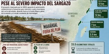 Excluyen a Mahahual del plan estatal para recuperar 33.5 kilómetros de playas pese al severo impacto del sargazo