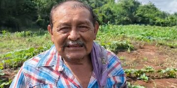 Proyecto agrícola de 6 mdp fracasa en Nueva Reforma; productores quedaron sin sistema de riego