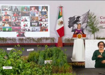 Quintana Roo se suma a la Jornada Nacional de Reforestación 2026 con acciones en el sur del estado