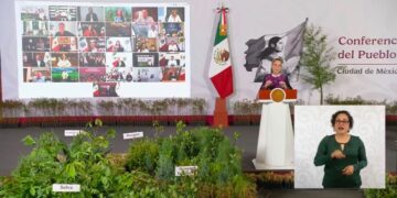 Quintana Roo se suma a la Jornada Nacional de Reforestación 2026 con acciones en el sur del estado