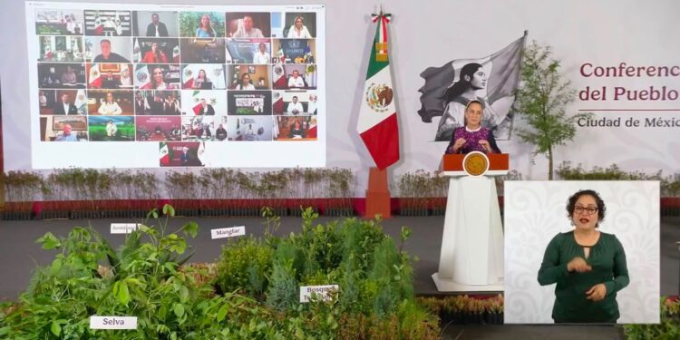 Quintana Roo se suma a la Jornada Nacional de Reforestación 2026 con acciones en el sur del estado