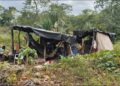 Entre la maleza y la pobreza, once integrantes de una familia sobreviven en un refugio improvisado en José María Morelos