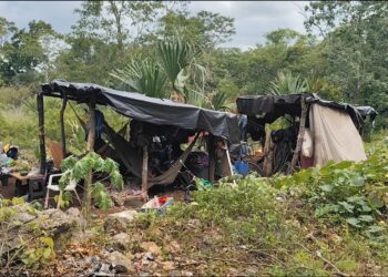 Entre la maleza y la pobreza, once integrantes de una familia sobreviven en un refugio improvisado en José María Morelos