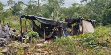 Entre la maleza y la pobreza, once integrantes de una familia sobreviven en un refugio improvisado en José María Morelos