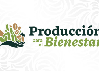 Producción para el Bienestar en Quintana Roo: subsidios que alivian, pero no transforman el campo