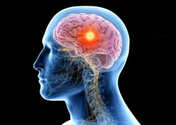 Parálisis cerebral: urgen mayor atención especializada y redes de apoyo en Quintana Roo