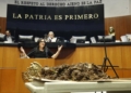 Mayuli lleva más de 20 kilos de sargazo al Senado y exige recursos federales para Quintana Roo