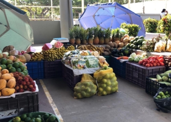 Denuncian presuntas extorsiones a transportistas de Mayabalam y Kuchumatán; cuotas alcanzarían hasta 100 mil pesos semanales